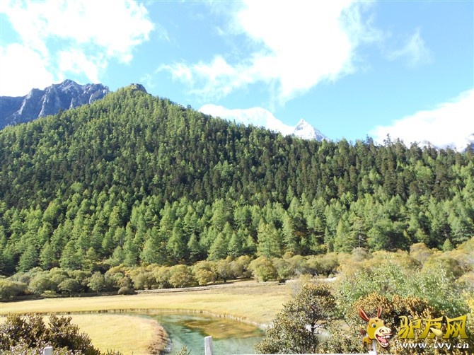 冲古寺的草坪.jpg