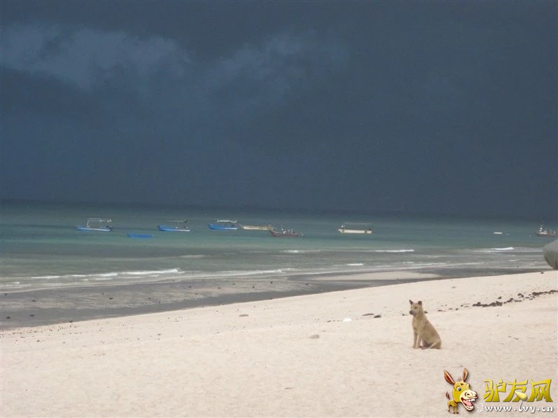 涠洲岛 4.jpg