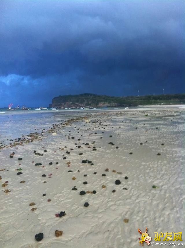 涠洲岛 5.jpg